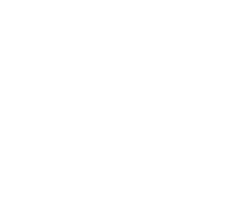 Logo de Sustentabilidad Sin Fronteras