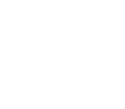 Logo de Sustentabilidad Sin Fronteras