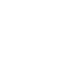 Logo de Sustentabilidad Sin Fronteras