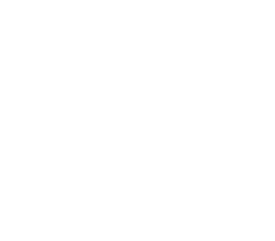 Logo de Sustentabilidad Sin Fronteras