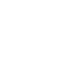 Logo de Sustentabilidad Sin Fronteras