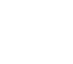Logo de Sustentabilidad Sin Fronteras
