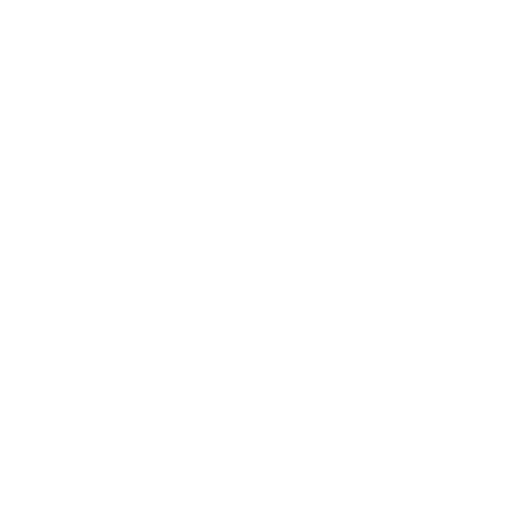 Logo de Sustentabilidad Sin Fronteras