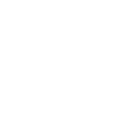 Logo de Sustentabilidad Sin Fronteras