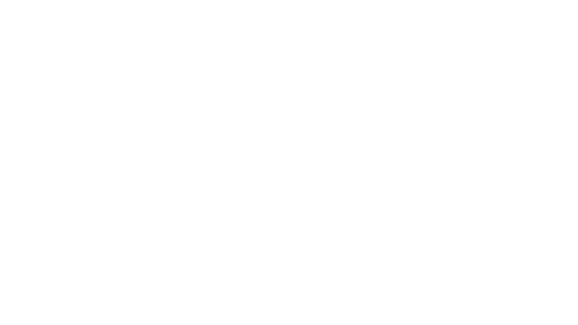 Logo de Sustentabilidad Sin Fronteras